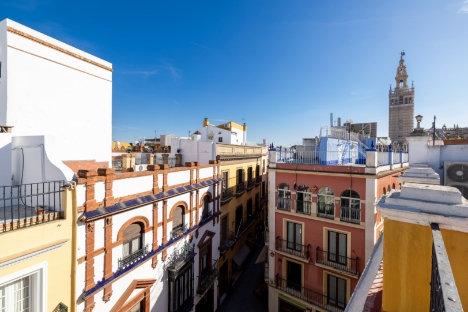 jacaranda Sevilla espacio 3