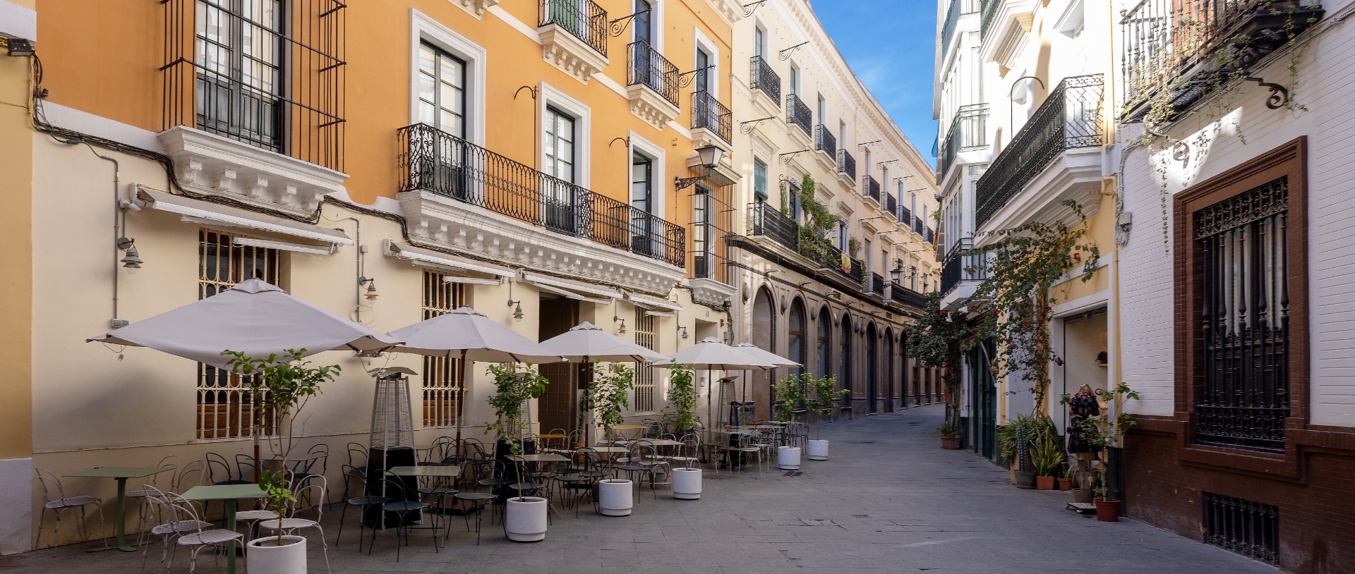 imagen apartamento Jacaranda Sevilla