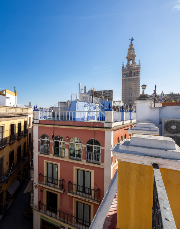 jacaranda Sevilla espacio catedra